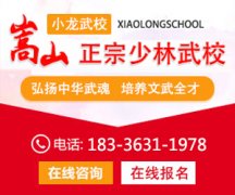 上海文武学校哪个最好？公办的武术学校有哪些